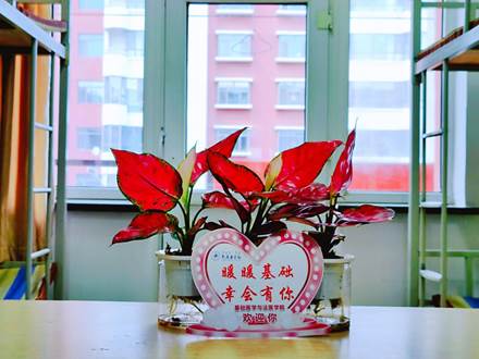 说明: 1c6becc368c83e98d646d8b0b5edc4a