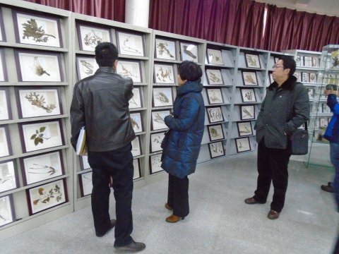 参观中药实验室